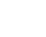 Icon5
